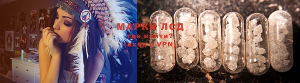 прущие крисы Елизово