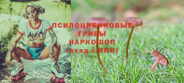 прущие крисы Елабуга