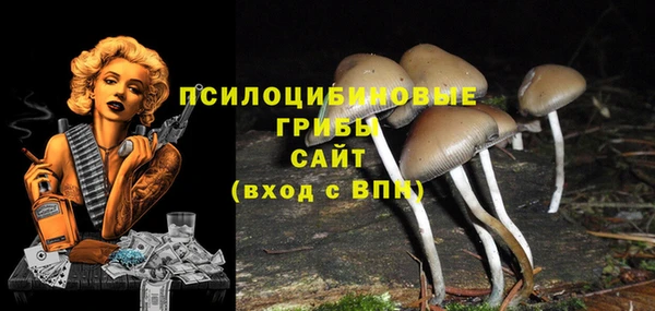 прущие крисы Елабуга