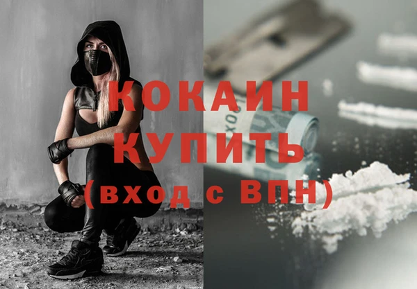 прущие крисы Елизово