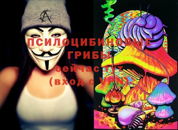 прущие крисы Елизово