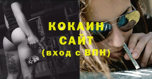 прущие крисы Елабуга