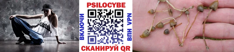 закладка  omg   Псилоцибиновые грибы GOLDEN TEACHER  Ефремов 