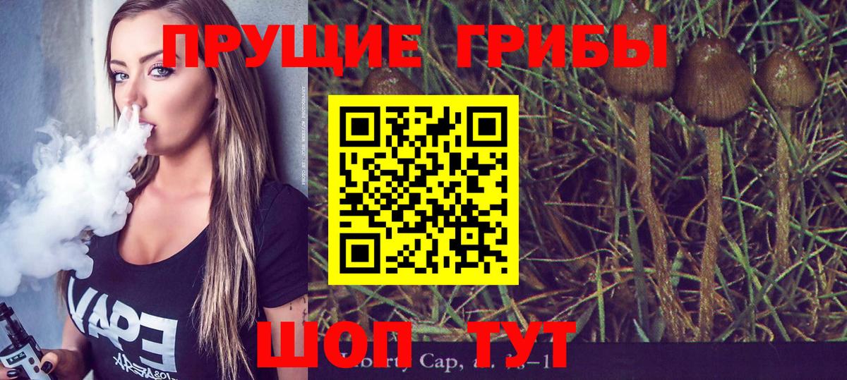 Псилоцибиновые грибы MAGIC MUSHROOMS Ефремов